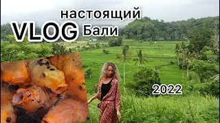 #VLOG