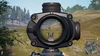 Chicken Squad