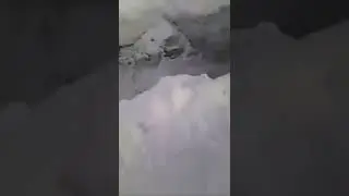тепловоз