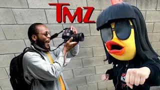 Rockin' Robin Punches Paparazzi (TMZ PARODY)