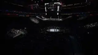 EA SPORTS™ UFC®  бой против брата, минус ротик!