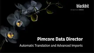 Pimcore Data Director: Automatic Translation and Advanced Imports
