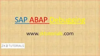 07 SAP ABAP Debugging Breakpoint at standard error message or function modules