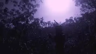 CDTP - F O R W A R D