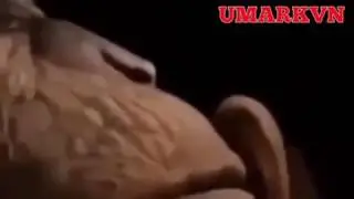 Pr