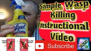 🐝🚫Wasp Exterminator🚫🐝 | Part 1 (4K)