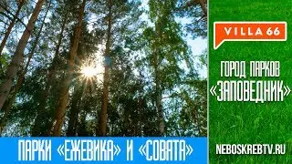 «Ежевика» и «Совята» – готовые парки «Заповедника» - Вилла66 (villa66)
