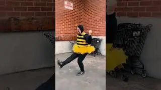 My tribute to Blind Melon's No Rain bee girl video