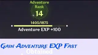 Genshin Impact Gain Adventure EXP Fast
