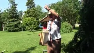 Новинки в пчеловодстве Альгирдаса Амшеюса из Литвы