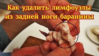 How to remove lymph nodes from a hind leg of lamb.