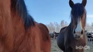 Просто подборка свежих фото и видео , январь 2023