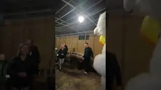 дайте Оскар этой богине. поздравление от Белого Медведя 