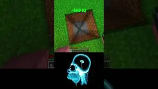 6923 IQ vs 6969 IQ Minecraft (World's Smallest Violin) #minecraft #shorts