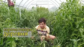 КОРОЧЕ ГОВОРЯ, ДЕРЕВНЯ