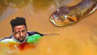 20 Shocking Snake Attacks Caught On Tape