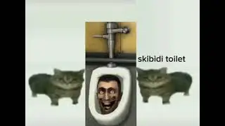 This is a skibidi toilet