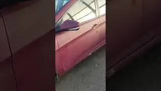 Не красьте Hyundai Solaris в Раптор.