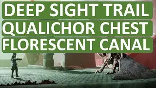 Destiny 2 | Deep Sight Trail | Qualichor Chest | Florescent Canal | Executioners Hoard