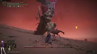 yung yacker momoyawn 1v1s the demigod radahn