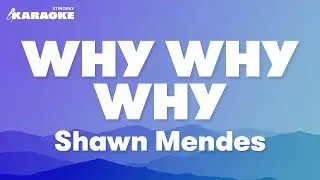 Shawn Mendes - Why Why Why (Karaoke Version)