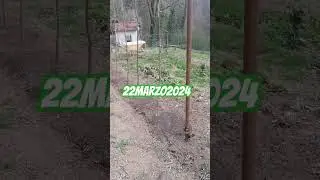 semine dirette in campo, pomodori, basilico, insalate varie...