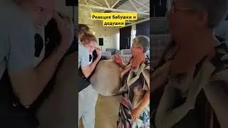 #реакция #сюприз #мишка #аниматоры #приезд #двойнойсюрприз