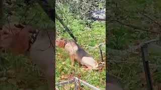 Вьюга! (5 месяцев)