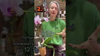 3 СПОСОБА ЗАСТАВИТЬ ОРХИДЕЮ ЦВЕСТИ