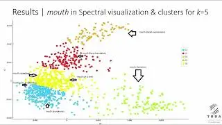 Ágoston Tóth, et al:  Probing visualizations of neural word embeddings for lexicographic use