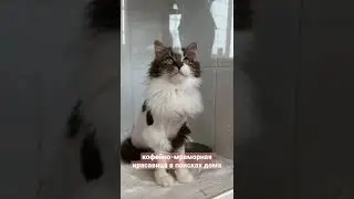 Даша ищет дом, Москва