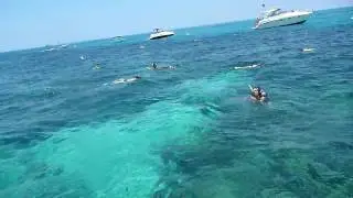 Diving florida keys - Marathon  W/ Panasonic Lumix TS1