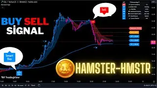 🔴Live 🐹Hamster🐹 (HMSTR) 5 Minute Buy And Sell Signals-Trading Signals-Scalping-Strategy-Diamond Algo