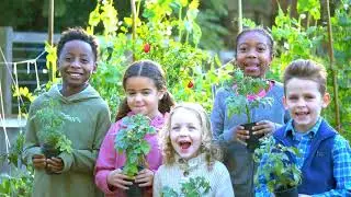 Sisterhood Agenda PARKS Holistic Housing