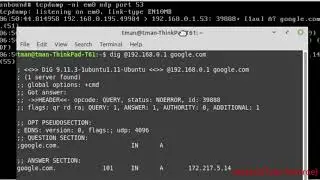 OpenBSD Unbound DNS Server Setup