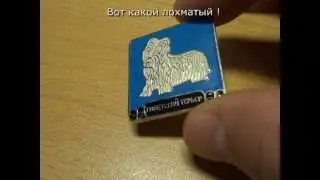 Просто Тибетский Терьер