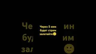 19 июня 2024 г.