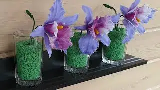 Сегодня 25 июля