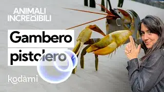 Chi è il gambero pistola: ha una chela gigante che spara proiettili d'acqua