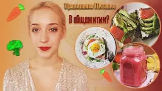 Правильное питание в общежитии? Что я ем?
