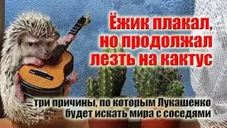 Три причины по которым Лукашенко будет искать замирения с Западом