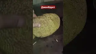 Джекфрукт 