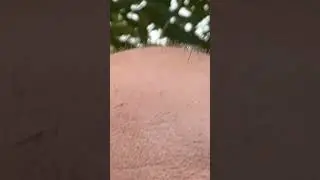 Пример стойкости