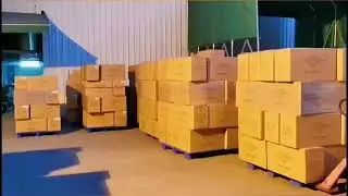 PBAT+PLA fully degradable blown film video