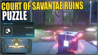 COURT OF SAVANTAE PUZZLE | PREMIUM SUPPLY CHESTS| WUTHERING WAVES