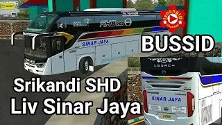 Livery Srikandi SR2 Prime | SINAR JAYA | Bussid