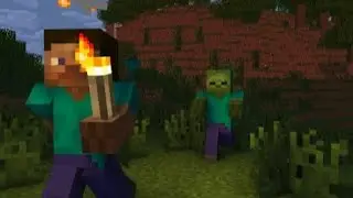 Steve VS Zombie
