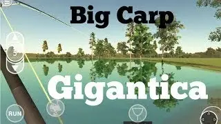 Carp Fishing Sim 202
