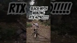 Black Myth : Wukong | RTX 4090 24GB