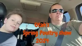 Utah's Egg-citing Spring Poultry Show 2024